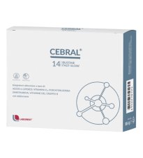 CEBRAL 14BUST