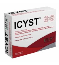 ICYST 14BUST