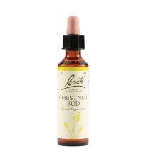 CHESTNUT BUD BACH ORIG 20ML