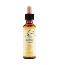 GORSE BACH ORIG 20ML