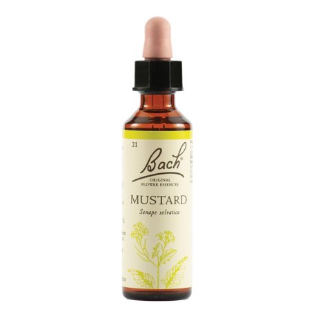 MUSTARD BACH ORIG 20ML