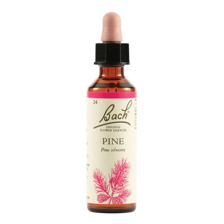 PINE BACH ORIG 20ML