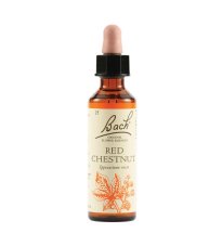 RED CHESTNUT BACH ORIG 20ML