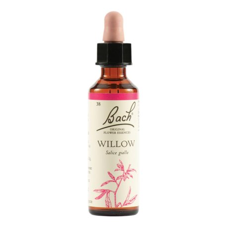 WILLOW BACH ORIG 20ML