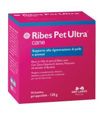 RIBES PET ULTRA CANE GEL 30BUS