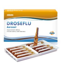 DROSEFLU FIALE AEROSOL 10F