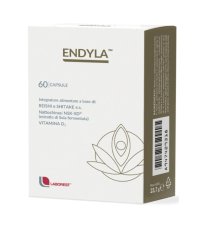 ENDYLA 60CPS