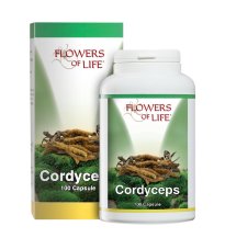 CORDYCEPS 100CPS FLOWERS OF LI