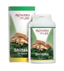 SHIITAKE 100CPS FLOWERS OF LIF