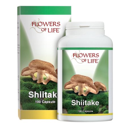 SHIITAKE 100CPS FLOWERS OF LIF