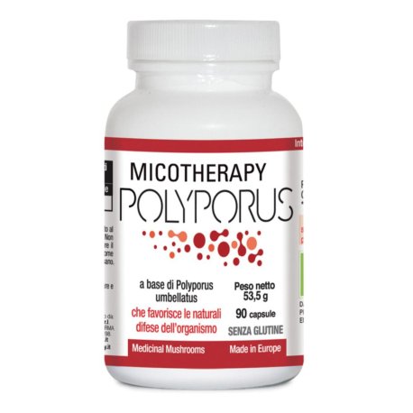 POLYPORUS MICOTHERAPY 90CPS