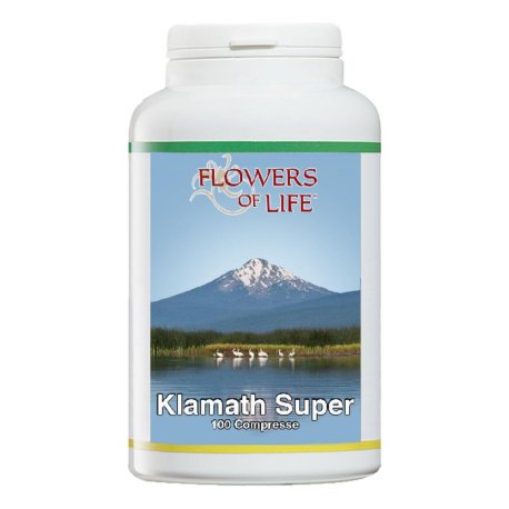 KLAMATH SUPER 100CPR FLOWERS