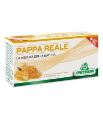 PAPPA REALE PLUS 12FLX10ML