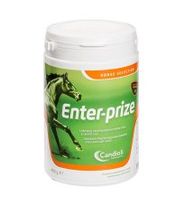 ENTER-PRIZE 450G