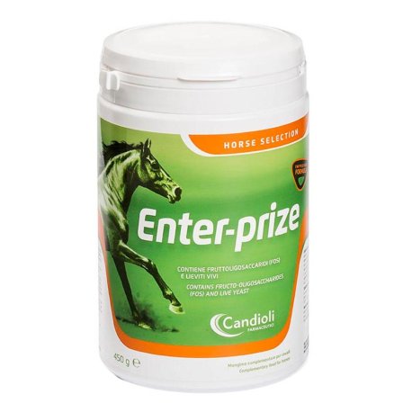 ENTER-PRIZE 450G