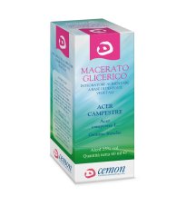 ACER CAMPESTRE GEMME MG 60ML