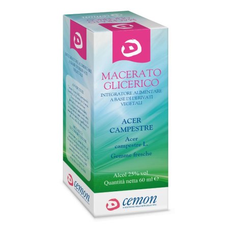ACER CAMPESTRE GEMME MG 60ML