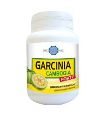 GARCINIA CAMBOGIA FORTE 60CPS