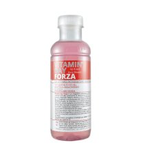 VITAMIN DAY FORZA 500ML