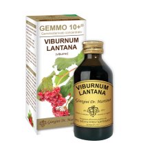 VIBURNO LIQ ANALCOLICO 100ML