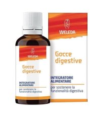 GOCCE DIGESTIVE 50ML