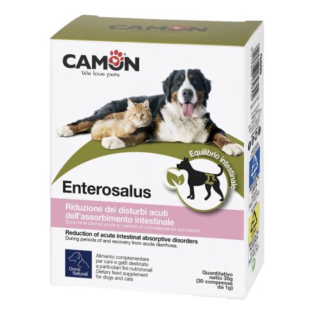 ENTEROSALUS 30CPR 1G