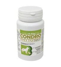 CONDROPHYTO 60CPR 1G