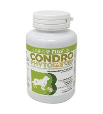 CONDROPHYTO 60CPR 2G