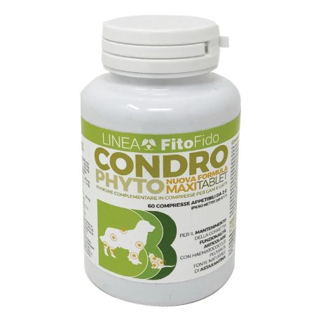 CONDROPHYTO 60CPR 2G