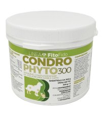 CONDROPHYTO POLVERE 300G