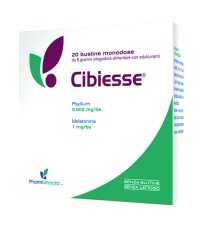 CIBIESSE 20BUST