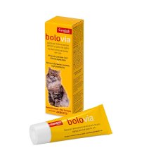 BOLO VIA PASTA GATTI 25G