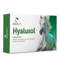 HYALUSOL 10FL 8ML