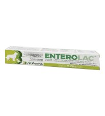 ENTEROLAC PASTA SIR 15G