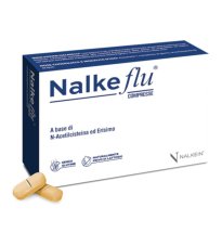 NALKEFLU 20CPR