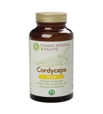 CORDYCEPS LINEA PLUS 90CPR