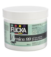 ARNICA 99 GEL 500ML