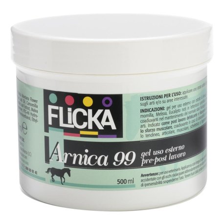 ARNICA 99 GEL 500ML