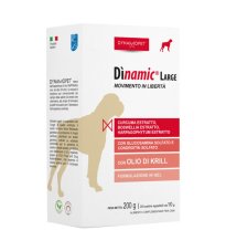 DINAMIC LARGE 20BUST 10G