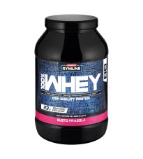 GYMLINE 100% WHEY CONC FRA900G