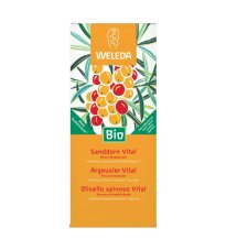 OLIVELLO SPINOSO VITAL SUCCO