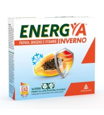 ENERGYA INVERNO 14BUST