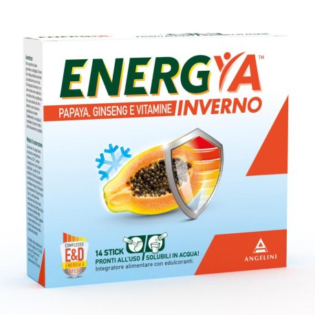 ENERGYA INVERNO 14BUST