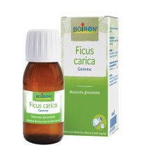 FICUS CARICA BOI MG 60ML INT