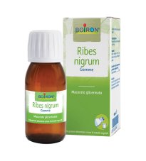 RIBES NIGRUM BOI MG 60ML INT