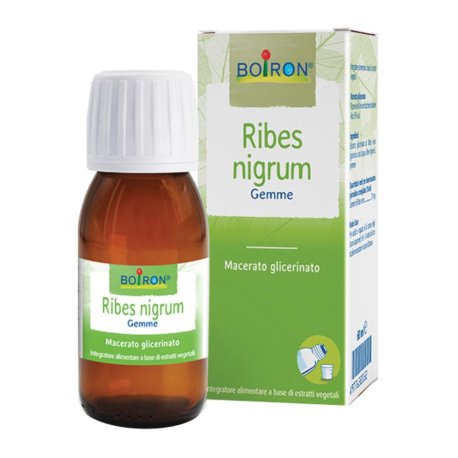 RIBES NIGRUM BOI MG 60ML INT