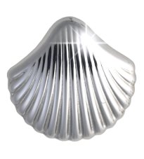 BJT982 SEA SHELL 11MM