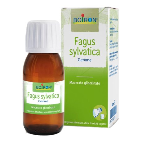 FAGUS SYLVATICA BOI MG60ML INT