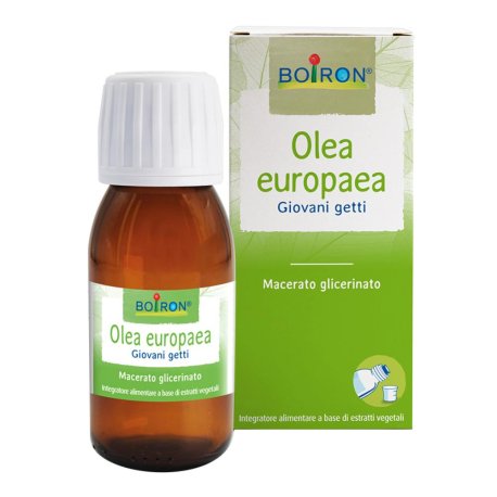 OLEA EUROPAEA BOI MG 60ML INT