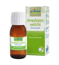 AMPELOPSIS WEI BOI MG 60ML INT